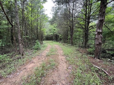 Enjoy peaceful country living just minutes from town on this - photo 12