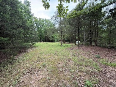 Enjoy peaceful country living just minutes from town on this - photo 13