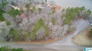 **UNRESTRICTED **3.57 acre lot with water frontage! This lot is - Lake Acreage For Sale in Wedowee, Alabama