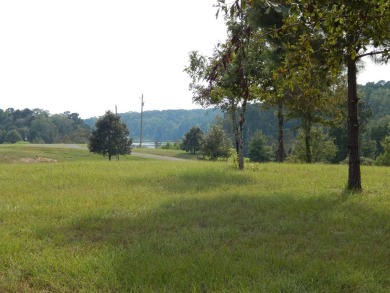 Toledo Bend Reservoir Lot For Sale in Many Louisiana