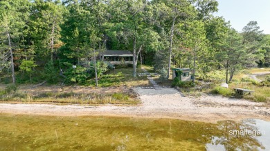 Lake Home For Sale in Bitely, Michigan