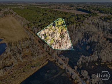 (private lake, pond, coastal) Acreage For Sale in Metter Georgia
