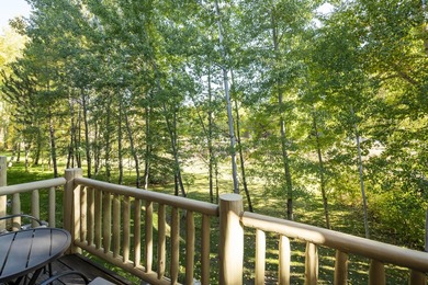 Mountain Modern at its finest! Just 300 yards from River Run and - photo 26
