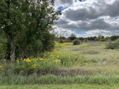 Lake Lot For Sale in Cement City, Michigan