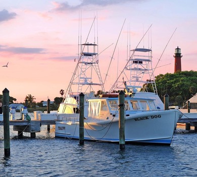 Introducing a pre-construction waterfront estate by Foster - photo 31