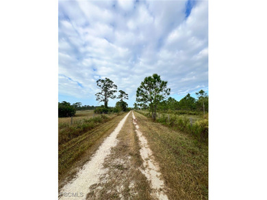 This property is located at 4501 Royal Palm Ranch Drive in St - photo 44