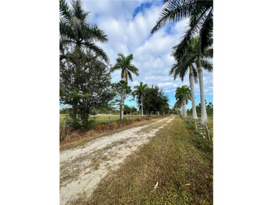 This property is located at 4501 Royal Palm Ranch Drive in St - photo 45