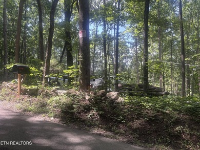 This property is an open canvas to Bring your dreams to life!! - photo 1