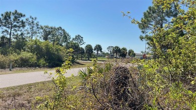 Build your Florida dream or invest in your future with this - photo 8