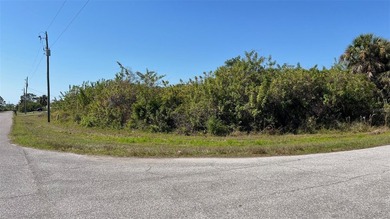 Build your Florida dream or invest in your future with this - photo 1