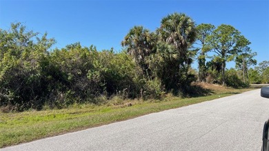 Build your Florida dream or invest in your future with this - photo 5