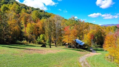 Welcome to an extraordinary 100+ acre mountain homestead nestled - photo 13