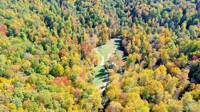 Welcome to an extraordinary 100+ acre mountain homestead nestled - photo 37