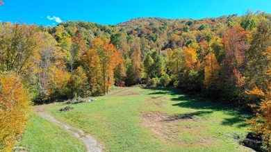 Welcome to an extraordinary 100+ acre mountain homestead nestled - photo 38