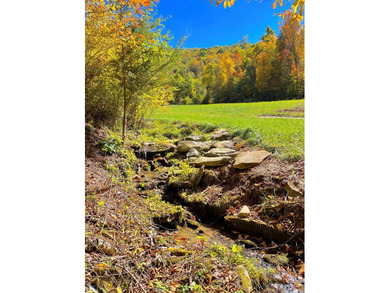 Welcome to an extraordinary 100+ acre mountain homestead nestled - photo 41