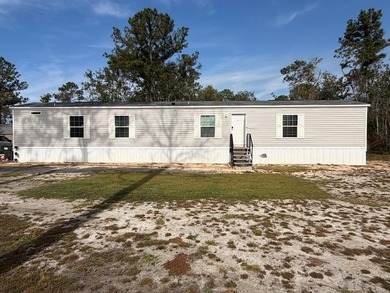 (private lake, pond, coastal) Home For Sale in Lakeland Georgia