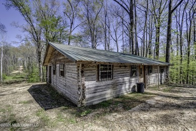 Located just outside of Port Gibson, this 44.16+/- surveyed acre - photo 2
