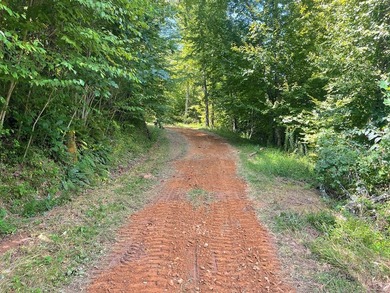 Welcome to an extraordinary 100+ acre mountain homestead nestled - photo 44