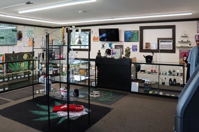 MULTIPLE PROPERTIES with premier CANNABIS BUSINESS for sale - photo 19