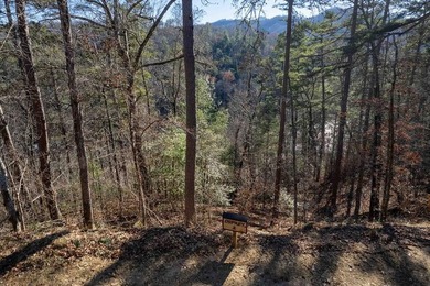 ot 2 Osprey Mountain Way features a ridge top homesite; river - photo 1