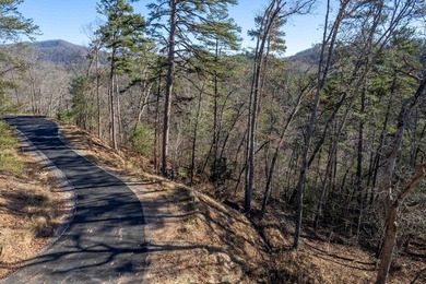 ot 2 Osprey Mountain Way features a ridge top homesite; river - photo 3