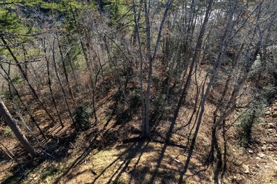 ot 2 Osprey Mountain Way features a ridge top homesite; river - photo 5