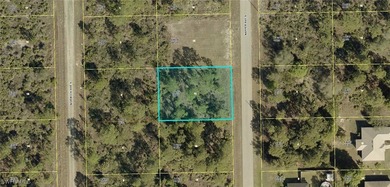 Lehigh Acres Area Lot For Sale in Lehigh Acres Florida