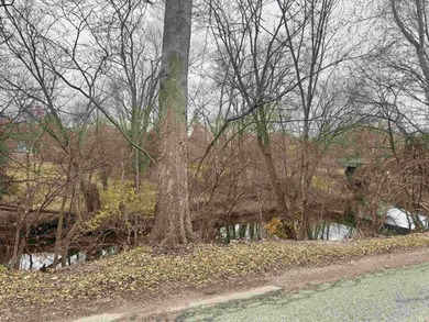 Historic Main Street Commercial Opportunity on the Eel River! - photo 4