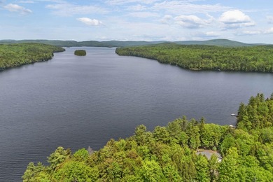 PARKER POND~This exceptional year-round waterfront estate offers - photo 51