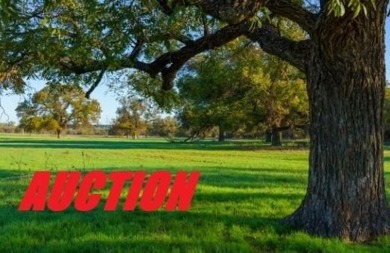 Lake Acreage For Sale in Weatherford, Texas