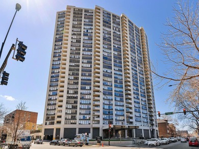 Lake Michigan - Cook County Condo For Sale in Chicago Illinois