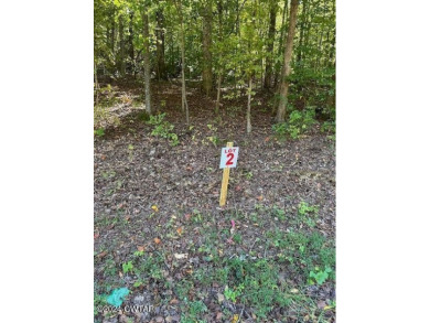 Kentucky Lake Acreage For Sale in Camden Tennessee