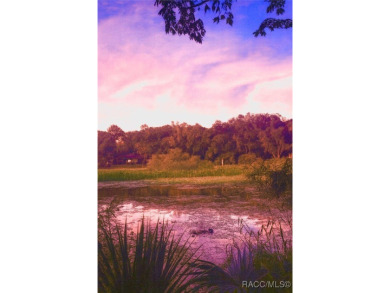 Lake Lot For Sale in Crystal River, Florida