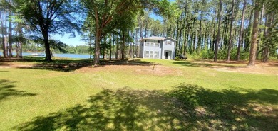 (private lake, pond, creek) Home For Sale in Arabi Georgia