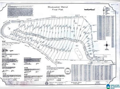 Bluewater Bend is a planned and platted, gated residential - photo 1