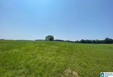 Bluewater Bend is a planned and platted, gated residential - photo 6
