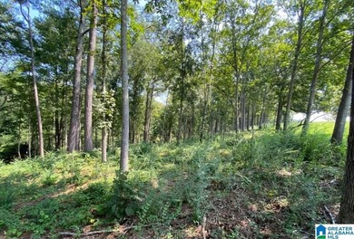 Bluewater Bend is a planned and platted, gated residential - photo 7