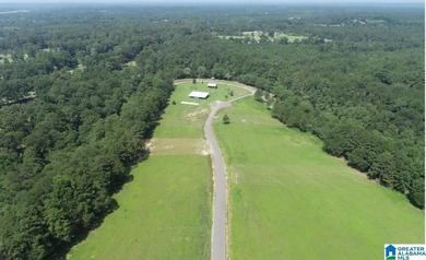 Bluewater Bend is a planned and platted, gated residential - photo 8
