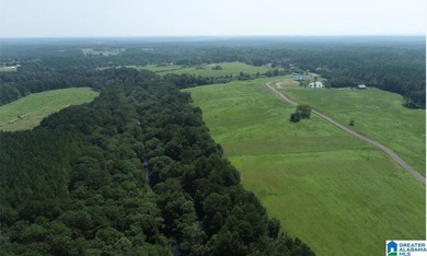 Bluewater Bend is a planned and platted, gated residential - photo 10