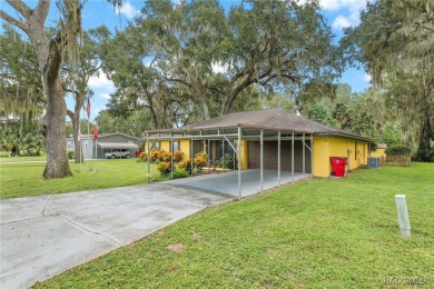 Lake Home For Sale in Lake Panasoffkee, Florida
