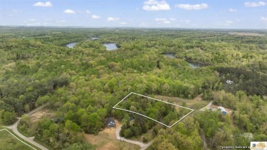 Lake Lot For Sale in Leitchfield, Kentucky
