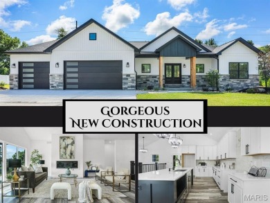 Lake Home For Sale in Edwardsville, Illinois