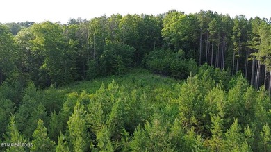 Discover the peaceful beauty of Highland Shores, a scenic rural - photo 3