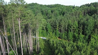 Discover the peaceful beauty of Highland Shores, a scenic rural - photo 4