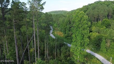 Discover the peaceful beauty of Highland Shores, a scenic rural - photo 5