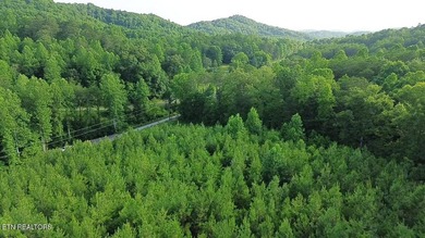 Discover the peaceful beauty of Highland Shores, a scenic rural - photo 9