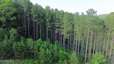 Discover the peaceful beauty of Highland Shores, a scenic rural - photo 10