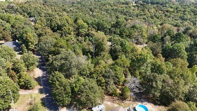 Snatch up this one-of-a-kind opportunity to invest in Lake - photo 16