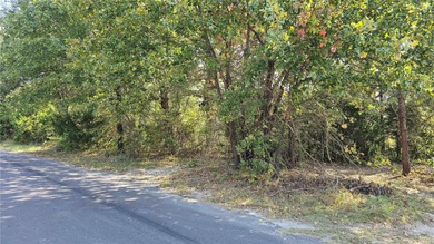Snatch up this one-of-a-kind opportunity to invest in Lake - photo 18