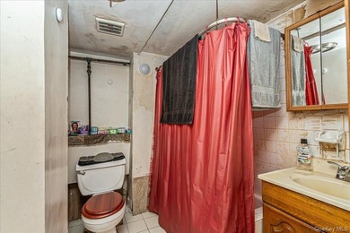 Welcome to 333 E 26th Street, Brooklyn - a large 2-family - photo 21